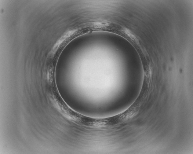 X0000052940462200507221151