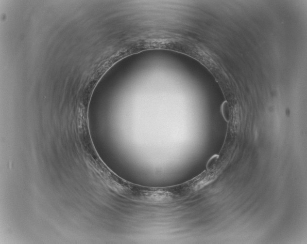 X0000052940463200507221151