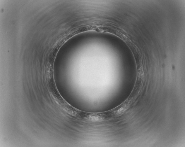 X0000052940464200507221151