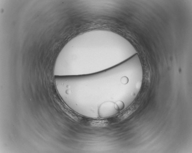 X0000052940465200507221151