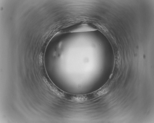 X0000052940466200507221151