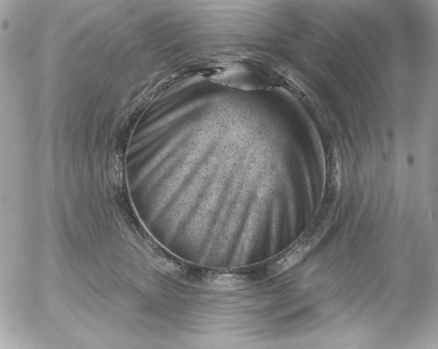 X0000052940467200507221151