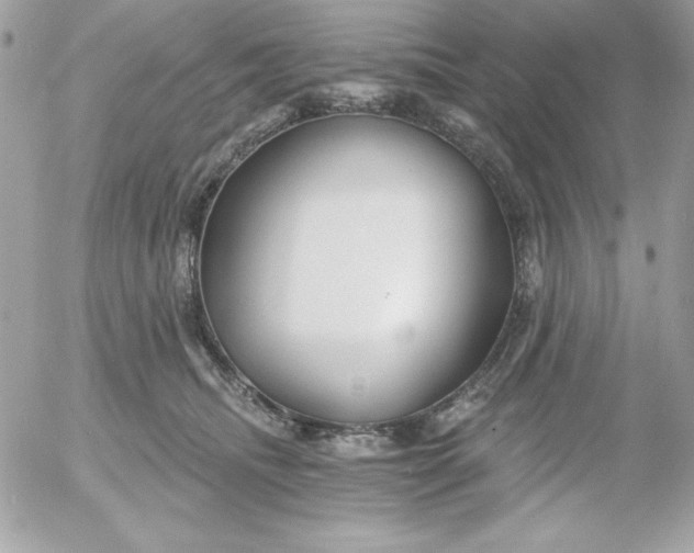 X0000052940468200507221151