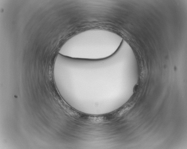 X0000052940469200507221151