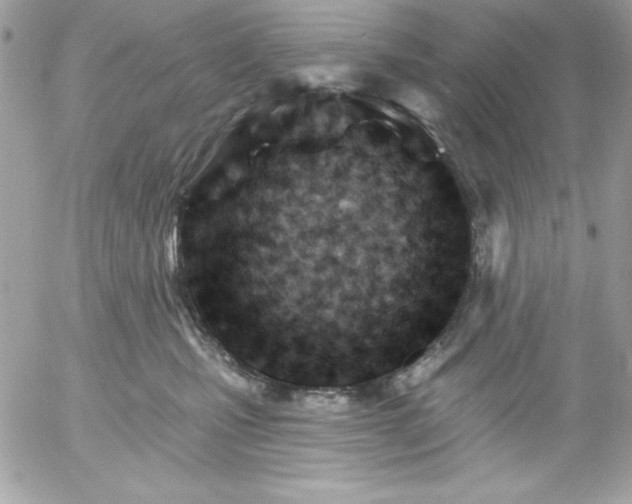 X0000052940471200507221151