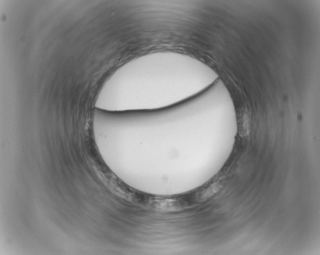 X0000052940472200507221151