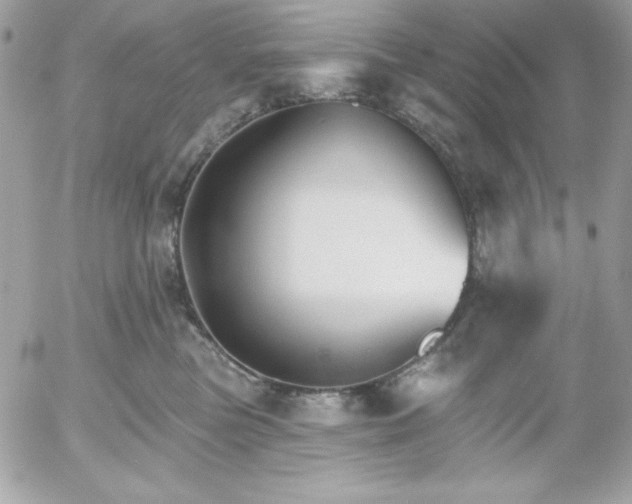 X0000052940473200507221151