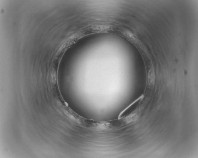 X0000052940474200507221151