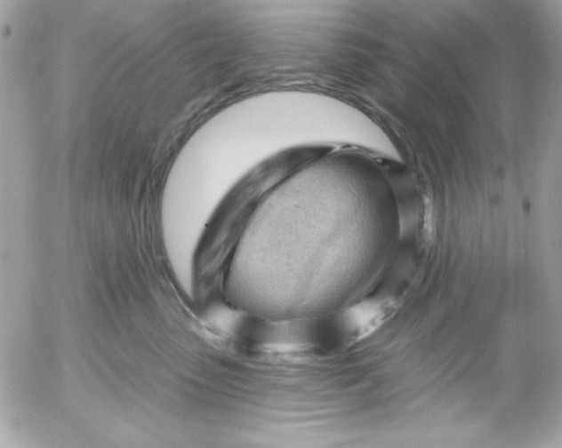 X0000052940475200507221151