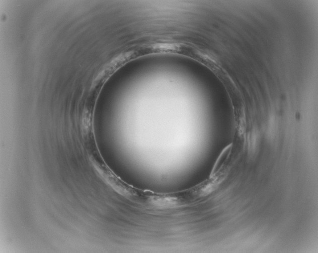 X0000052940476200507221151