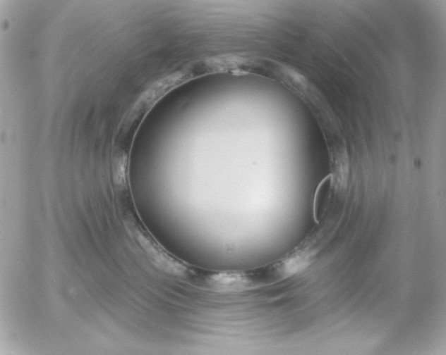 X0000052940477200507221151