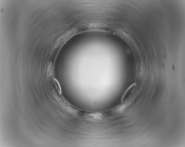 X0000052940478200507221151