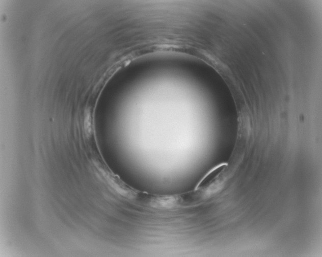 X0000052940479200507221151