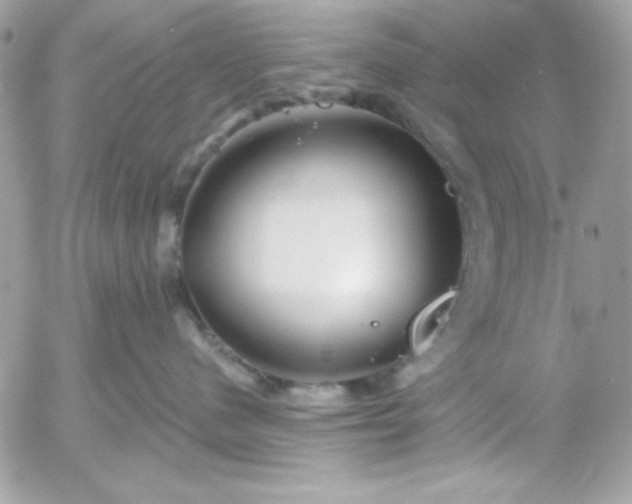 X0000052940480200507221151