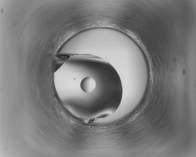 X0000052940481200507221150