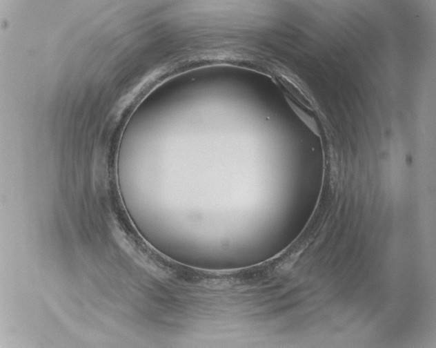 X0000052940482200507221150