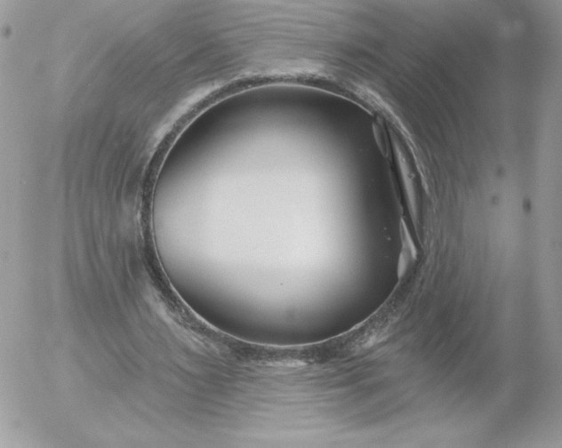 X0000052940483200507221150