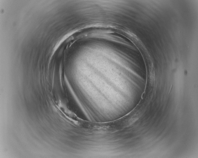 X0000052940484200507221150