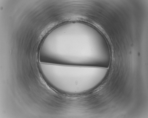 X0000052940485200507221150