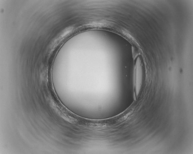 X0000052940486200507221150