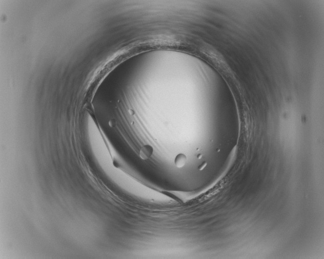 X0000052940487200507221150