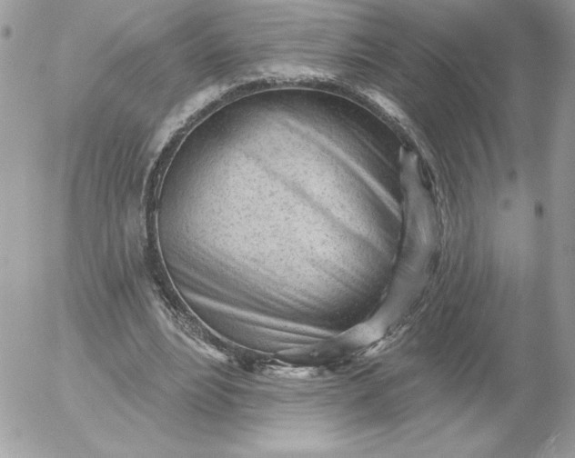 X0000052940488200507221150