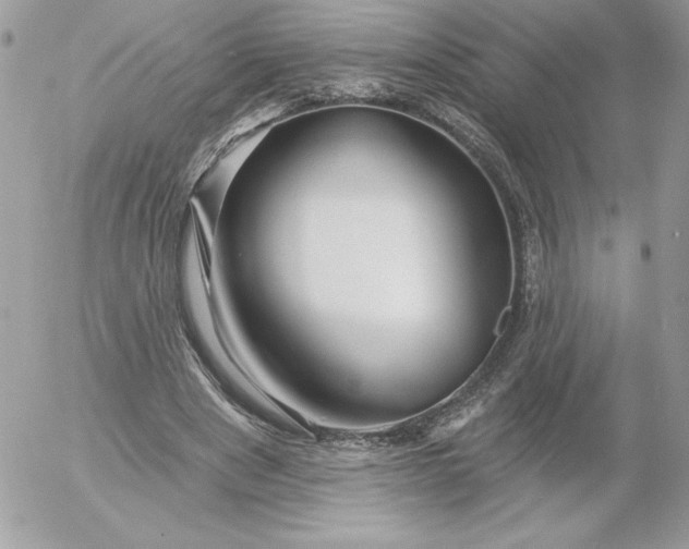 X0000052940489200507221150