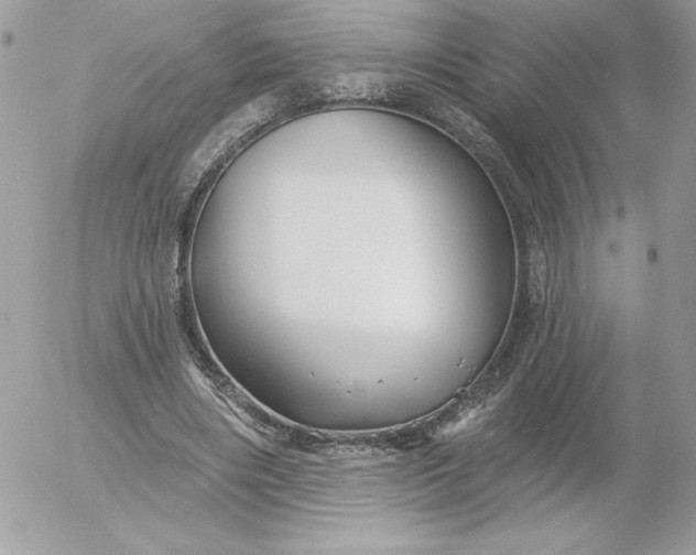 X0000052940490200507221150