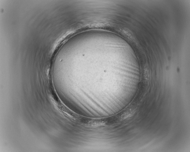 X0000052940491200507221150