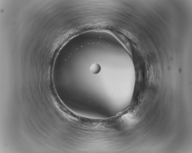 X0000052940493200507221150