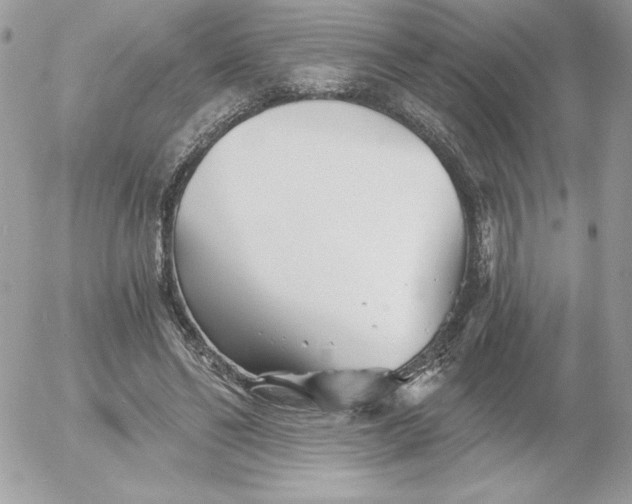 X0000052940494200507221150