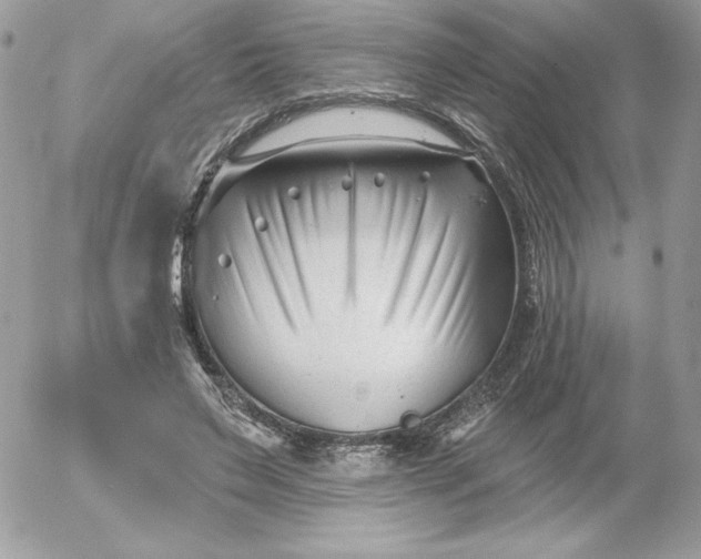 X0000052940495200507221150