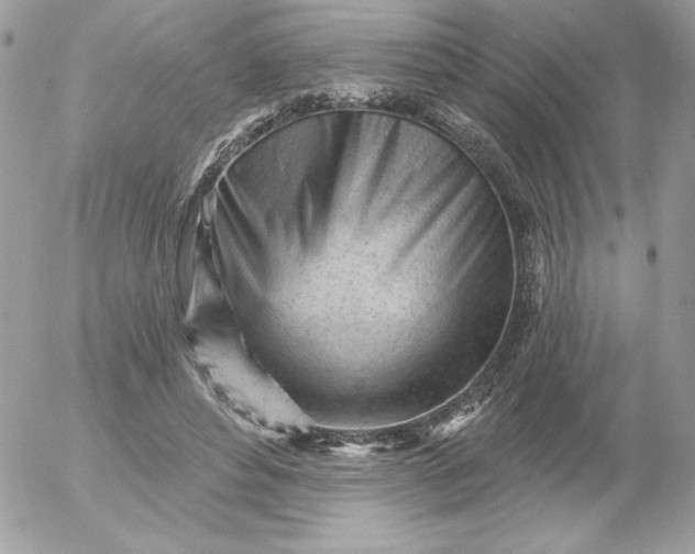 X0000052940496200507221150