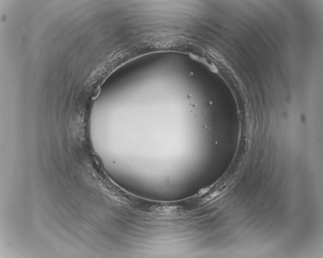 X0000052940497200507221150