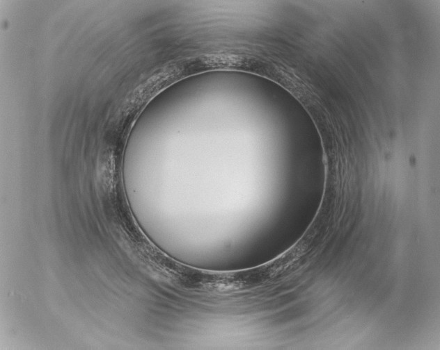 X0000052940498200507221150