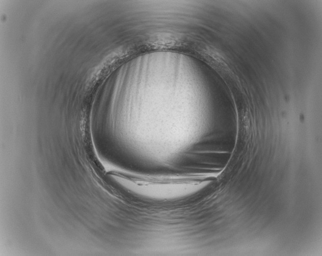 X0000052940499200507221150