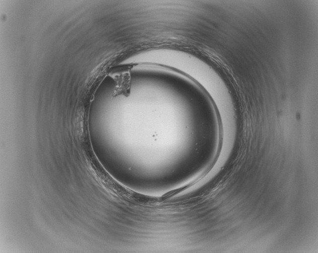 X0000052940501200507221150