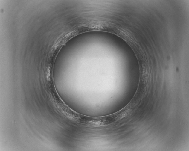 X0000052940502200507221150