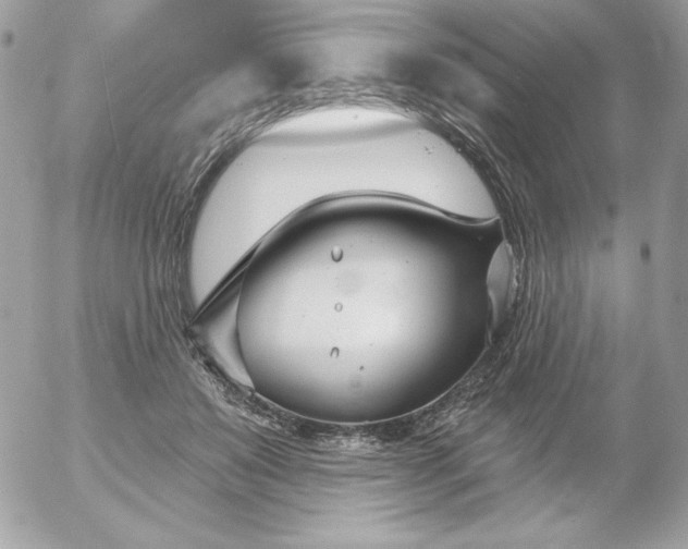 X0000052940503200507221150