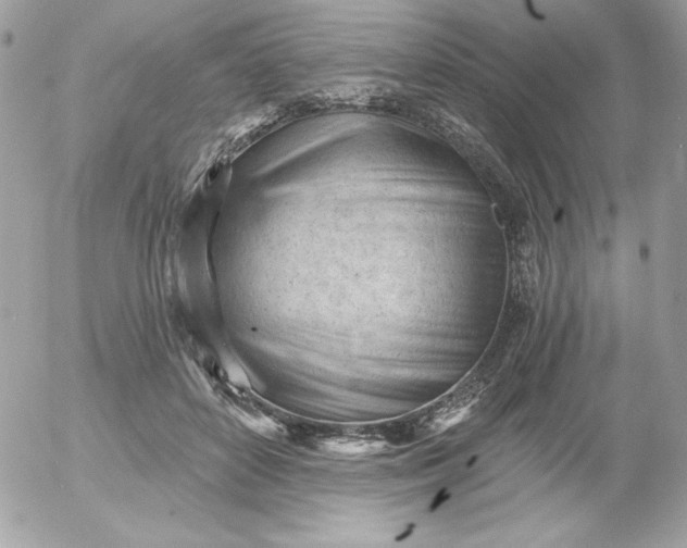 X0000052940504200507221150