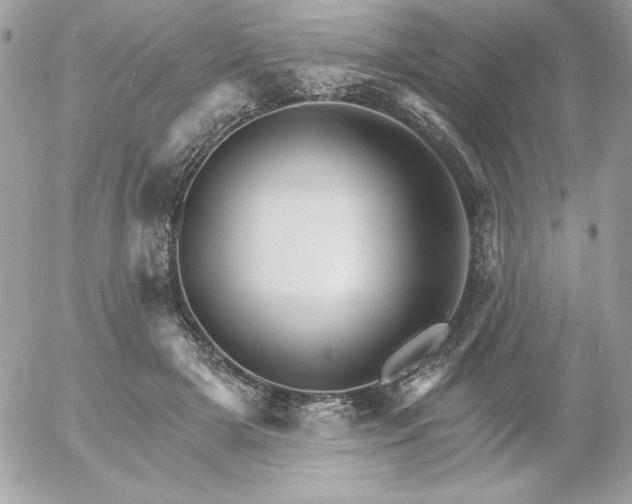 X0000052940505200507221150