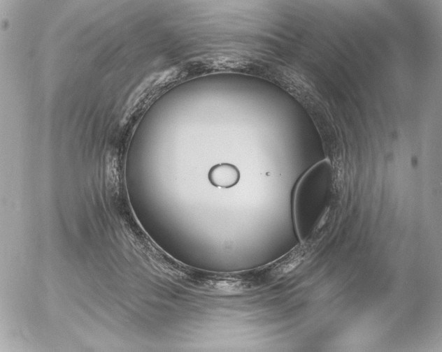 X0000052940506200507221150