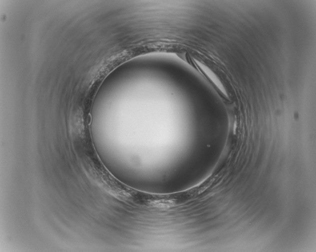 X0000052940508200507221150