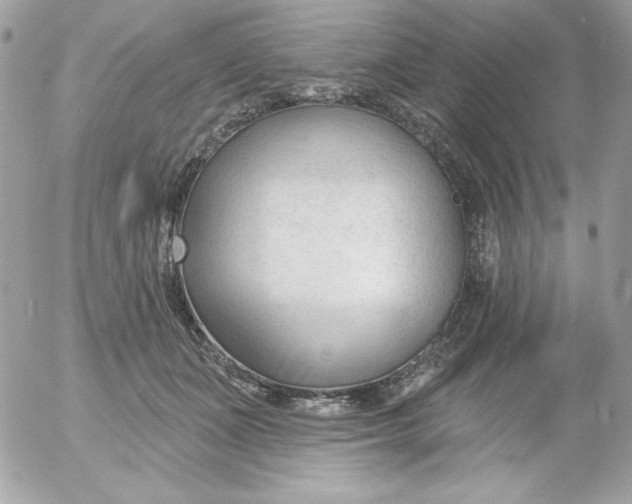 X0000052940511200507221150