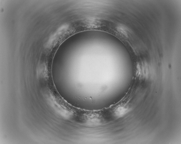 X0000052940512200507221150