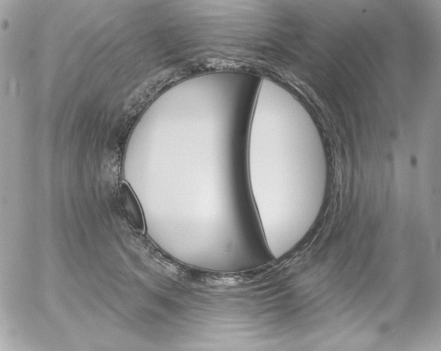 X0000052940513200507221150