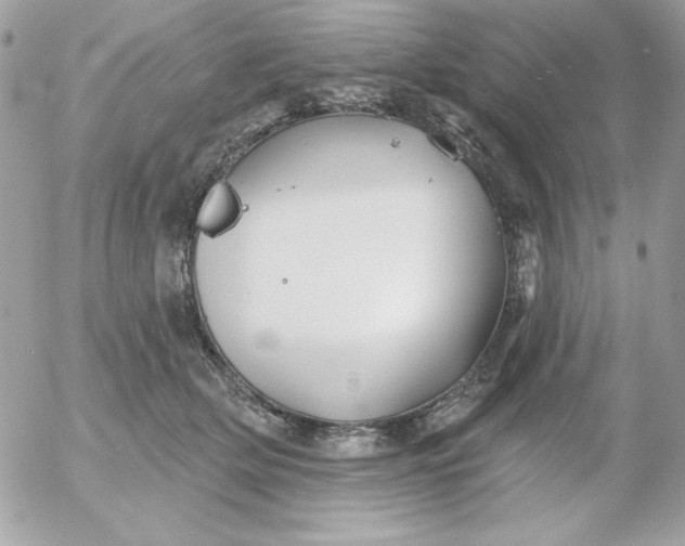 X0000052940514200507221150