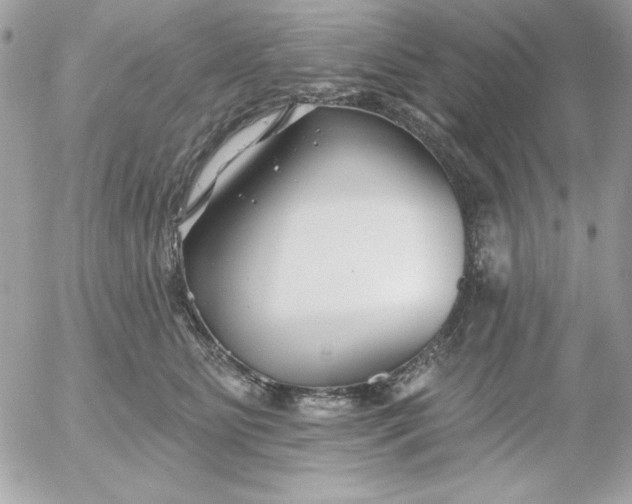 X0000052940515200507221150