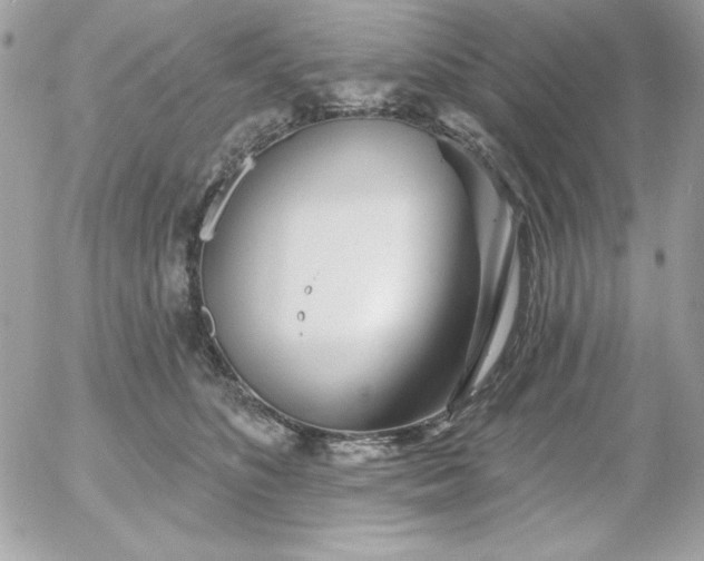 X0000052940516200507221150