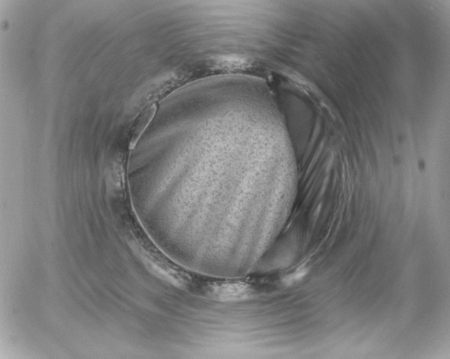 X0000052940517200507221150